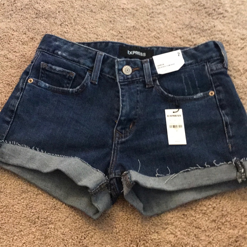 Express Shortie Relaxed Low Rise Shorts